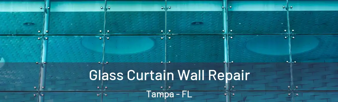  Glass Curtain Wall Repair Tampa - FL