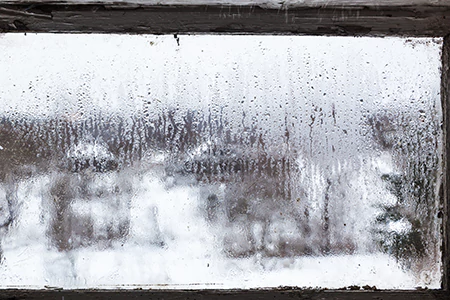Defogging Double Pane Windows in Tampa, FL