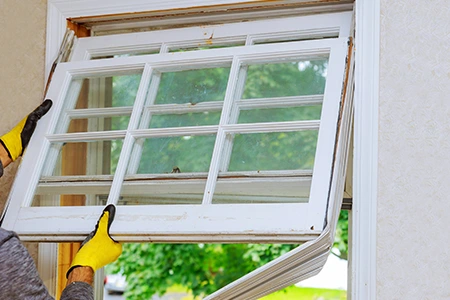 Window Replacement in Tampa, FL